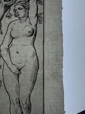 AcheterAlbrecht Durer - Konvolut Bildnisse und Allegorien 2 Blätter mit 8 Motiven? Enchérissez de 70!