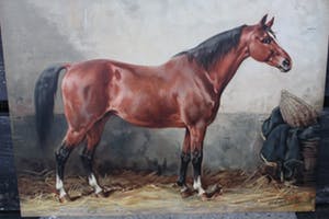 Otto Eerelman - Chromolithografie Het Mecklemburgsche paard kopen? Bied vanaf 150!
