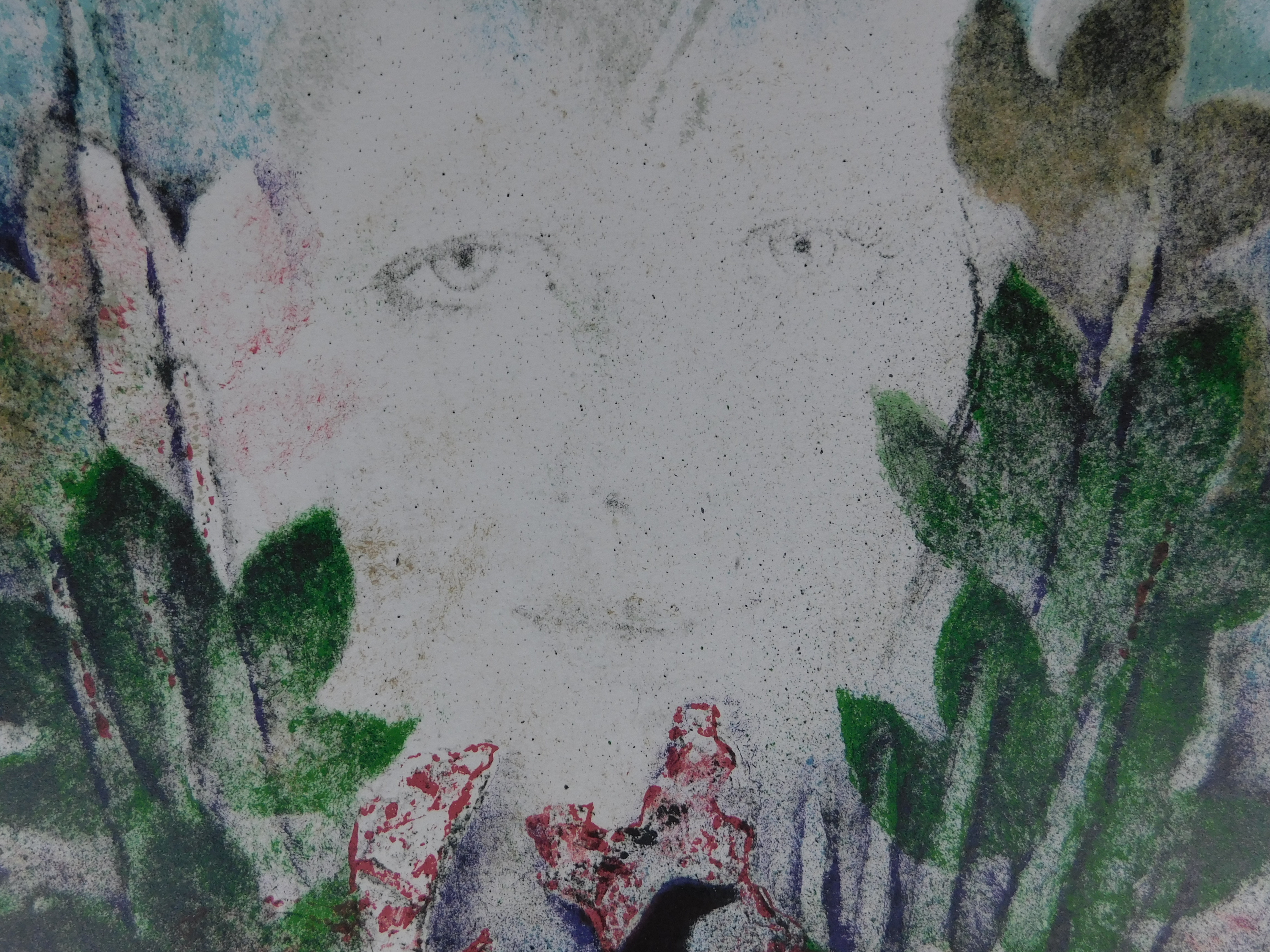 Andre Goezu - Flora kopen? Bied vanaf 40!