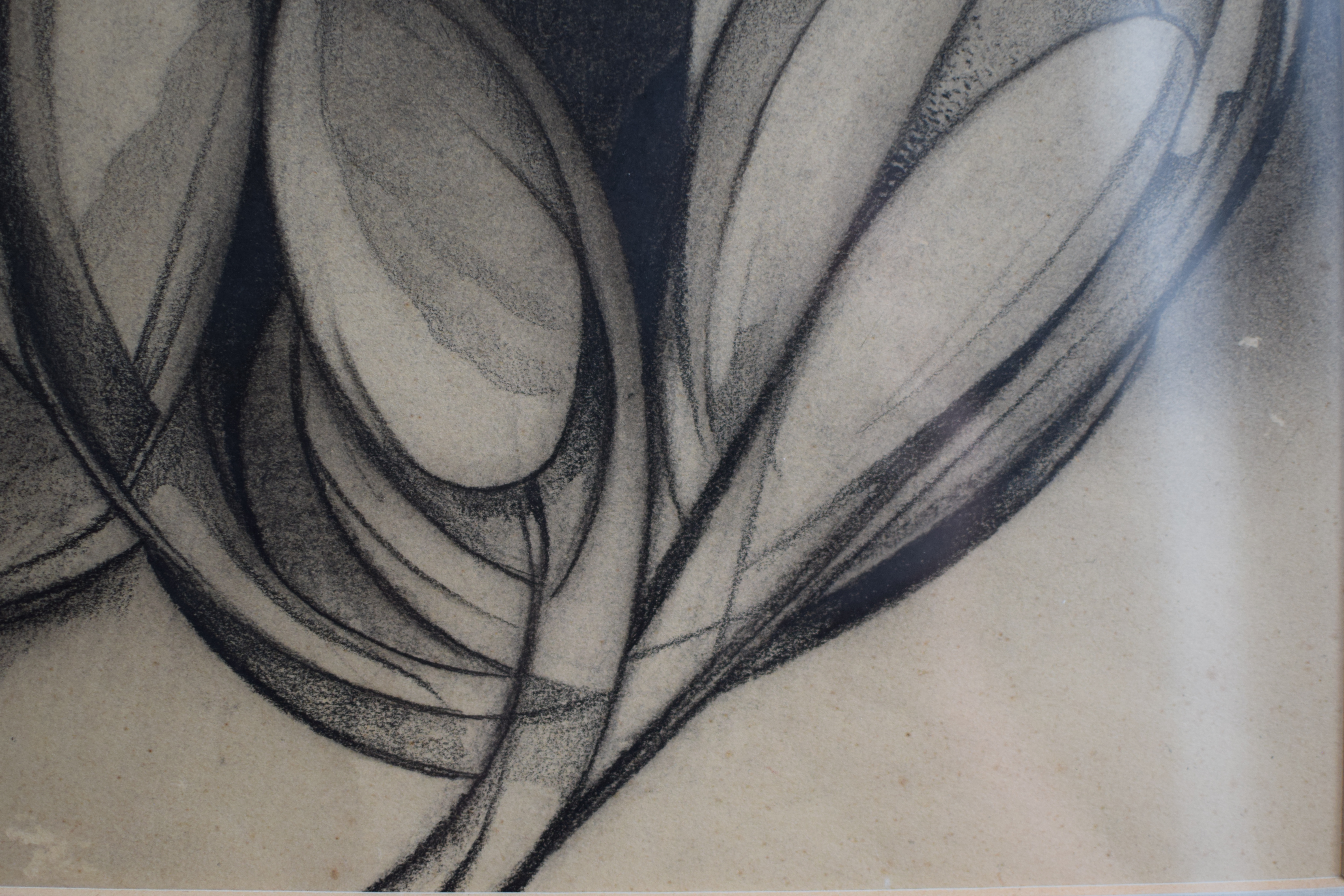 Wim Kersten - Krokussen kopen? Bied vanaf 25!