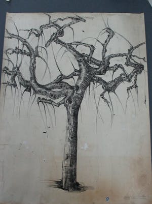 Frits van der Zander - Boomstudie kopen? Bied vanaf 15!