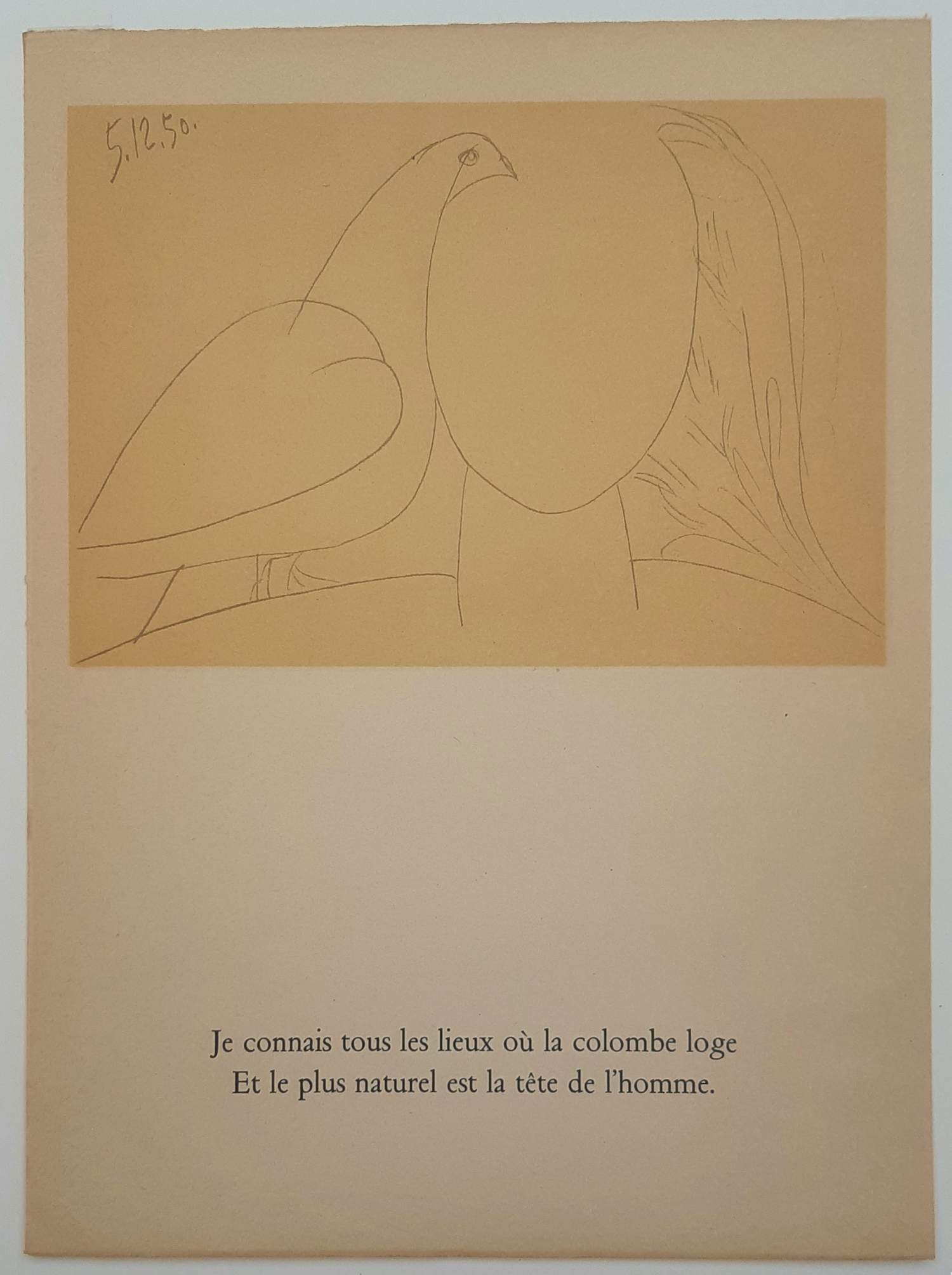 Pablo Picasso - le Visage de la Paix. Vredesduif kopen? Bied vanaf 125!