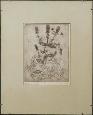 Niet of onleesbaar gesigneerd - Lot van twee etsen, Planten - Ingelijst kopen? Bied vanaf 1!