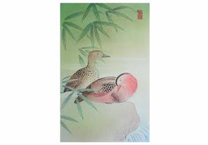 Niet of onleesbaar gesigneerd - Chinese school - Eenden, zeefdruk of ingekleurde litho kopen? Bied vanaf 1!