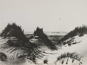 Aat Veldhoen - Rotaprint, Duinlandschap kopen? Bied vanaf 40!