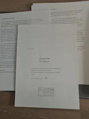 Yannig Hedel - "Les Fenetres" kopen? Bied vanaf 80!