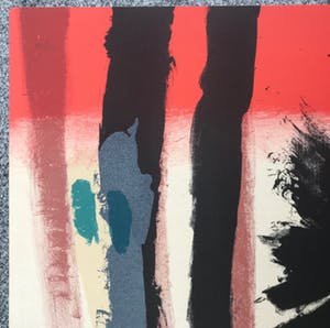 Jan Cox - Originele kleurenlitho - 1978 - 105/150 - Gesigneerd kopen? Bied vanaf 95!