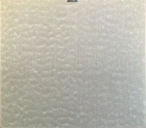 Berend Pasman - Surrealistisch landschap | Olieverfschilderij - ingelijst kopen? Bied vanaf 99!