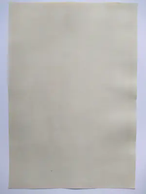 Dirk Harting - Amsterdams Poort Haarlem kopen? Bied vanaf 40!