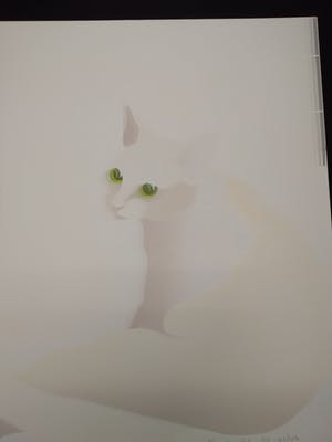 Carla Raadsveld - Geen titel kopen? Bied vanaf 15!