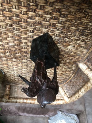 Eric Claus - Ruiter /ridder kopen? Bied vanaf 200!