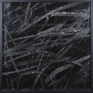 Jos Reinders - Foto, Natuur en Cultuur 2A kopen? Bied vanaf 50!