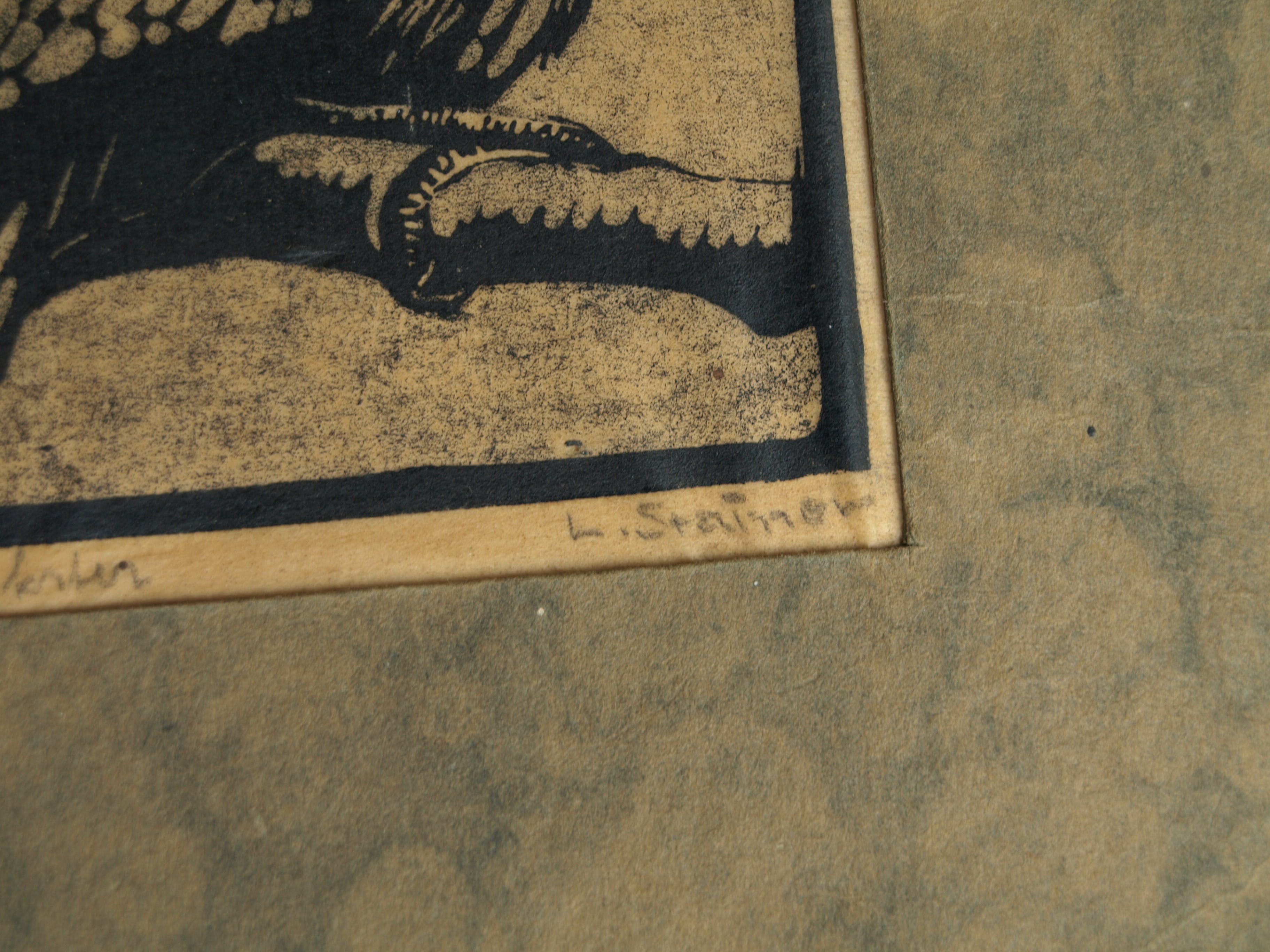 Ludwig Stainer - Ets , Jonge ekster – Gesigneerd – ca 1935 kopen? Bied vanaf 1!