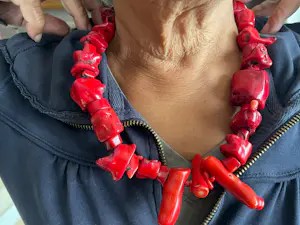 Bloedkoraal kettingen , kopen? Bied vanaf 60!