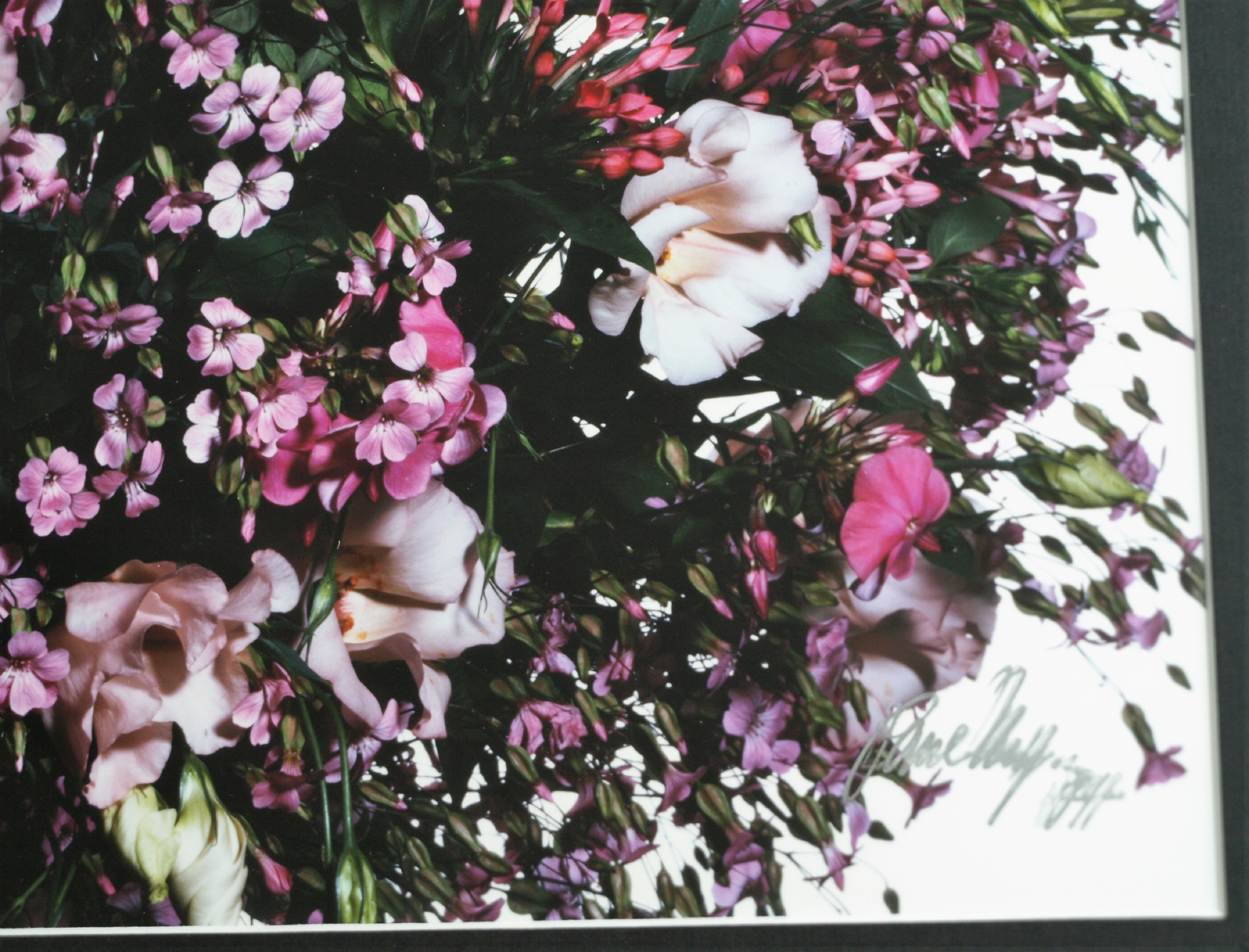 Paul Huf - Foto - Flowers – gesigneerd & ingelijst - 1984  kopen? Bied vanaf 75!