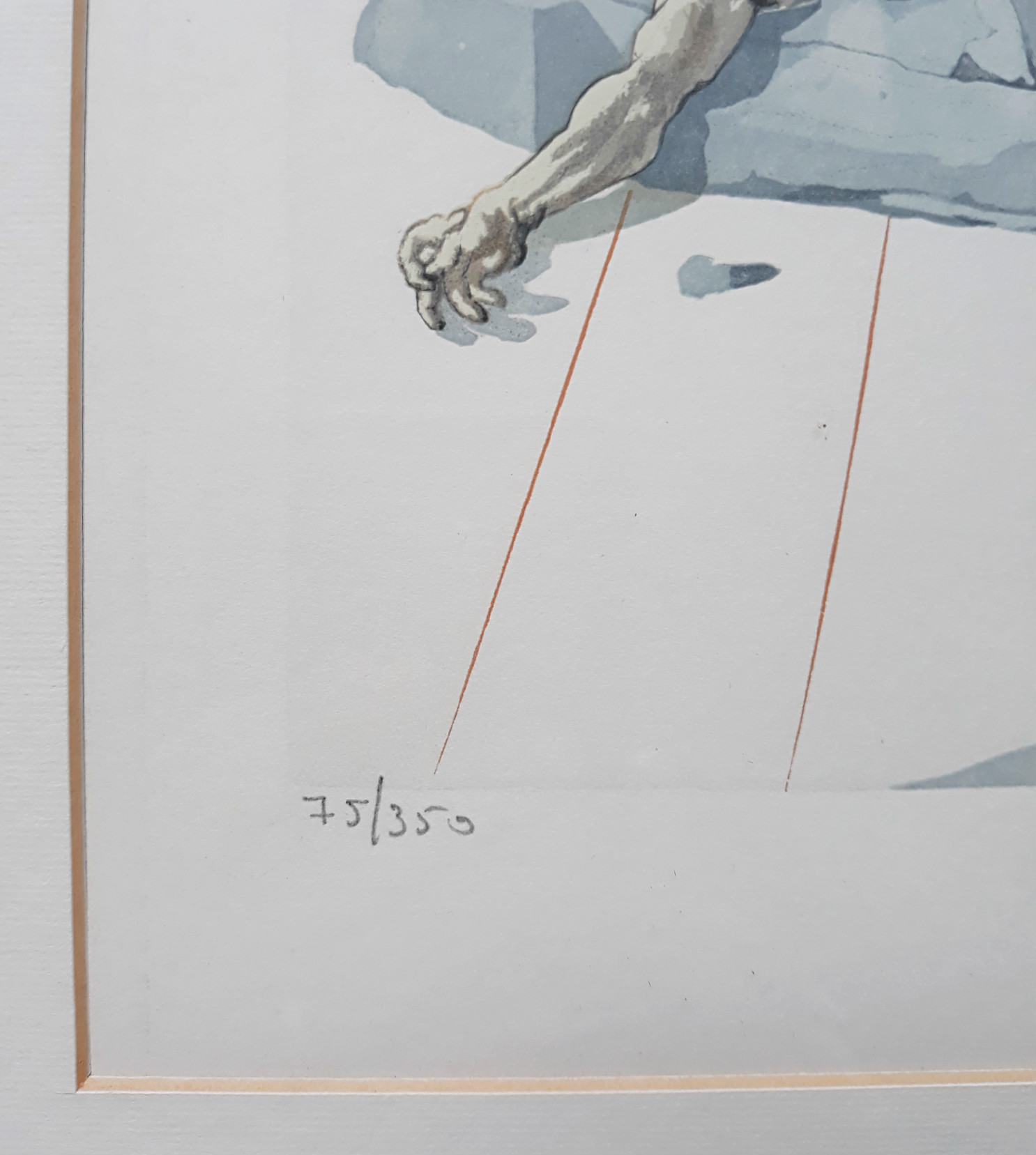 Salvador Dali - Les Simionaques, litho of houtdruk (ingelijst) kopen? Bied vanaf 1!