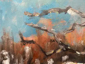 Robert Freysz - fermette en neige kopen? Bied vanaf 25!