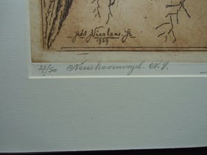 Johannes Nicolaas Jr. - NEUSHOORNVOGEL kopen? Bied vanaf 35!