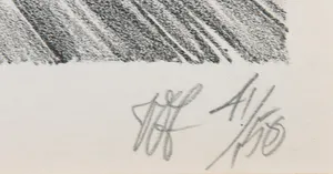 Peter Vos - Litho, Giraf met pulcinella - Ingelijst kopen? Bied vanaf 150!