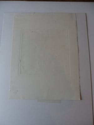 Arja van den Berg - Ingekleurde ets, Anjer kopen? Bied vanaf 20!