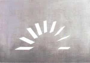 Jeroen Henneman - zeer grote ets ‘Het kleine verschil’ - 2004 - oplage HC. verkocht voor € 325!