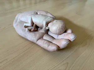 Marion Askjaer-Veld - Hand met foetus kopen? Bied vanaf 500!