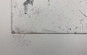 Jan Sierhuis - Grote kleurenets - 'Dans macabre' - 1988 (Kleine oplage) kopen? Bied vanaf 120!