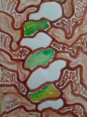 Jaap Rooke - Ongetiteld, ref: 76-1 kopen? Bied vanaf 40!