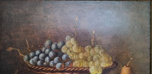 Hans Habraken - Stilleven van fruit kopen? Bied vanaf 100!
