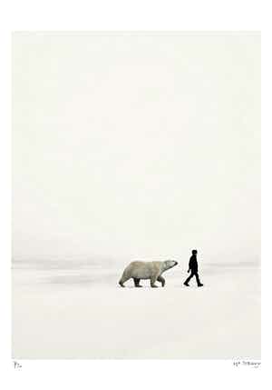 Mr. Strange - Artic verkocht voor € 50!