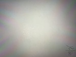 Koen Vanmechelen - Fighter 49/75 kopen? Bied vanaf 750!