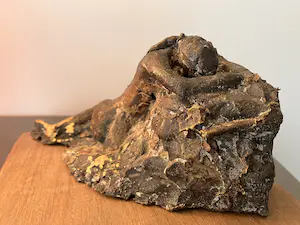 Brons (Onbekend) - Vrouw op rotsen kopen? Bied vanaf 109!