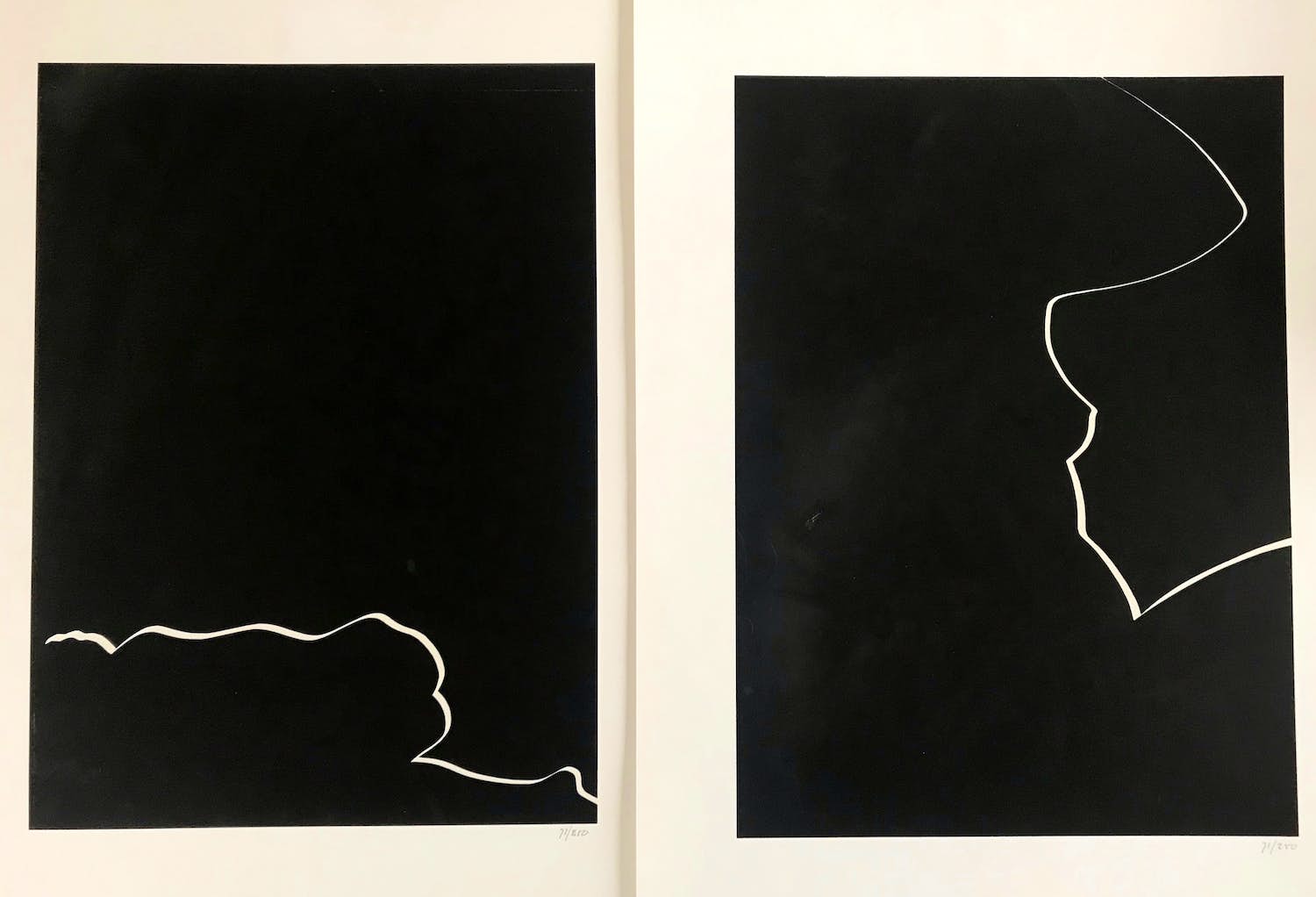 Harry van Kuyk - Lot van 2 zeefdrukken - 1976 - "Grafinu" verkocht voor € 1!