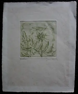 Jeanne Bieruma Oosting - Kleurenets: 'sprinkhaan' kopen? Bied vanaf 299!