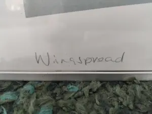 Richard Davies - Wingspread kopen? Bied vanaf 150!