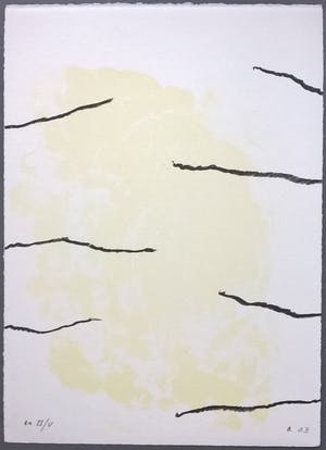 Armando - gemonografeerde litho kopen? Bied vanaf 195!