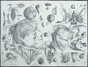 Dirkje Kuik - Litho, Winkelmansplantage + Uitgave Het Geïllustreerde Zwijn kopen? Bied vanaf 35!