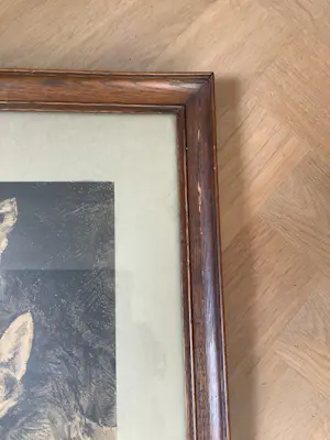 Cornelis Jan Mension - Drie jonge vosjes kopen? Bied vanaf 75!