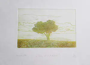 Eduard Flor - Fraaie handgekleurde diepdruk/reliëf Ets - kleine oplage (60) - potloodgesignrd kopen? Bied vanaf 47!