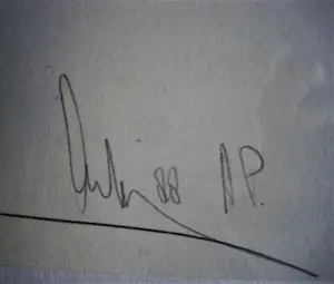 Arty Grimm - Grote & unieke A(rtist) P(roof) zeefdruk "Winter" - mooi ingelijst kopen? Bied vanaf 37!