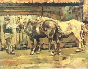 Waalko Jans Dingemans (sr.) - C5078-2, Paarden in de stal kopen? Bied vanaf 250!