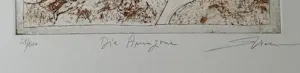 Dan Erceanu - Amazone. kaufen? Bieten Sie von 39!