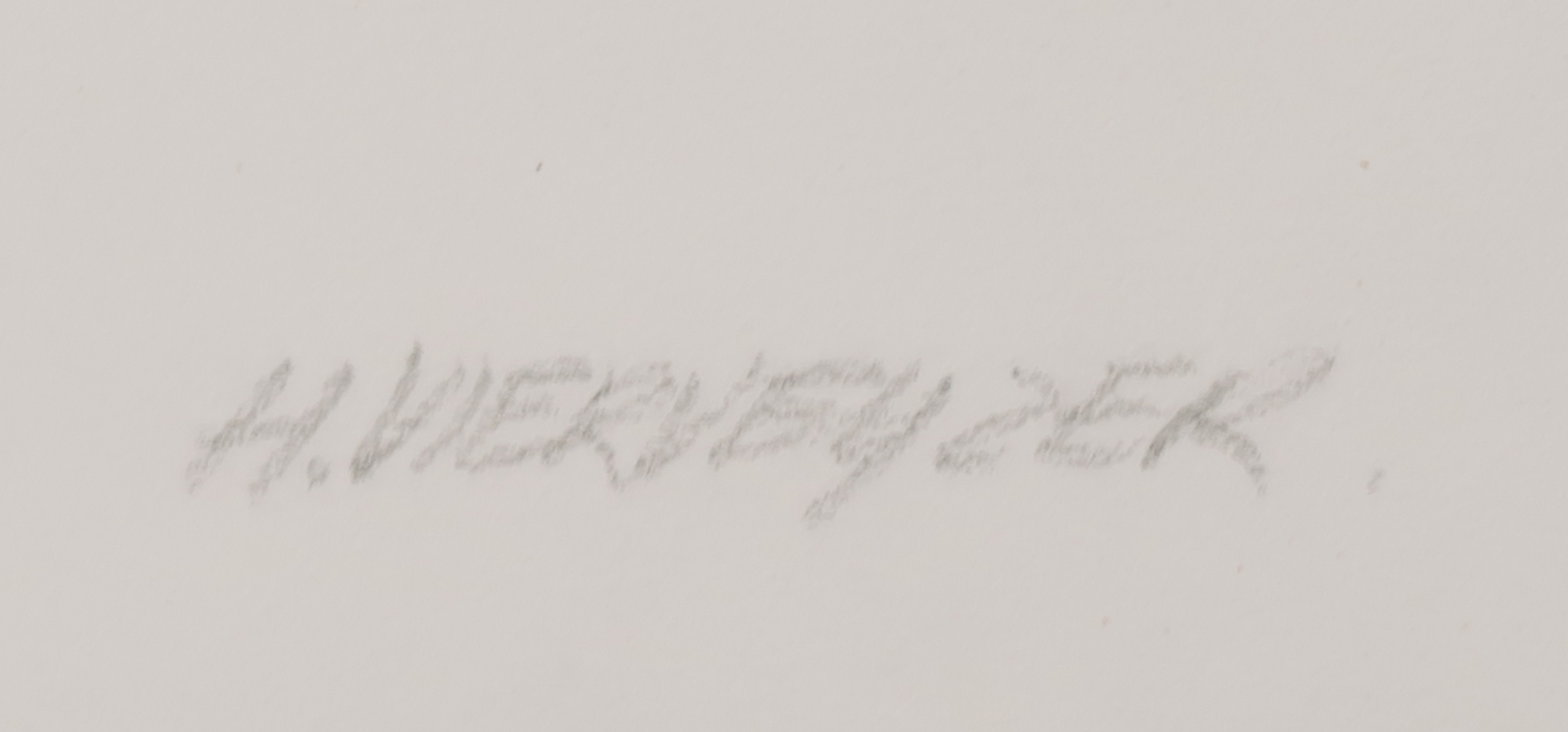 Henk Vierveijzer - Zeefdruk, 't mag weer kopen? Bied vanaf 1!