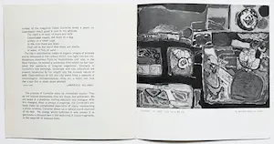 Corneille - Eerste solotentoonstelling USA (1962), catalogus met 3 originele litho’s kopen? Bied vanaf 150!