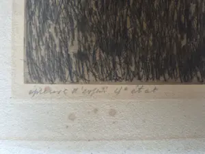 Willem Witsen - Ets E/A - vrouw bij appelboom, gesigneerd r.o. kopen? Bied vanaf 225!