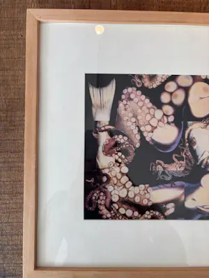 Lieve Prins - Onbekend kopen? Bied vanaf 50!