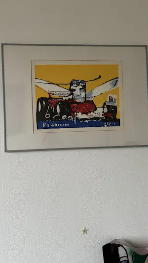 Herman Brood - zeefdruk van Herman Brood ter ere van "F1 50 Years Senna". kopen? Bied vanaf 100!