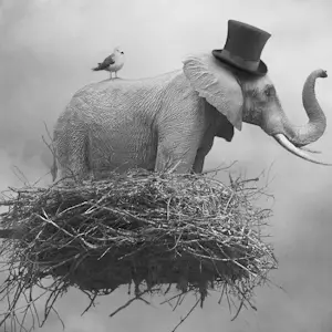 Beata Bieniak - 'Reizend Circus' (2011) kopen? Bied vanaf 85!