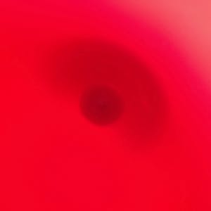 Carina Riezebos - Vaas voor Royal Leerdam kopen? Bied vanaf 75!