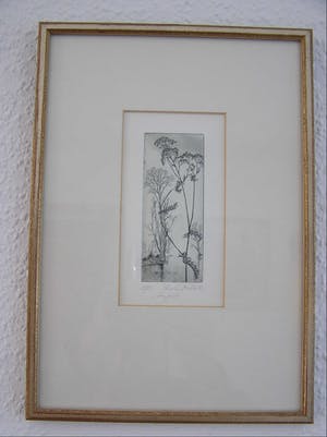 Christian Mischke - Schafgarbe kopen? Bied vanaf 85!